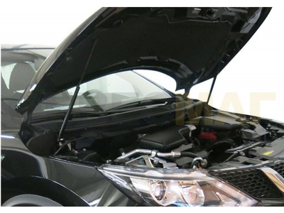 Упоры капота Автоупор 2 штуки для Nissan Qashqai 2007-2014