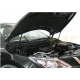 Упоры капота Автоупор 2 штуки для Nissan Qashqai 2007-2014